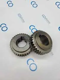 66.006.031 - Rueda Helicoidal