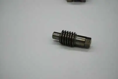 66.006.029 - Tornillo sinfín (reemplazo)