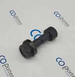 260469 / 017771 / 053063 - Tornillo Fusible Polar 76/92